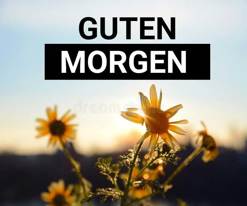 Утро называться. Guten Morgen немецкие. Morgen картинка завтра. Красивый Восход солнца осенью по немецки Гутен Морген.