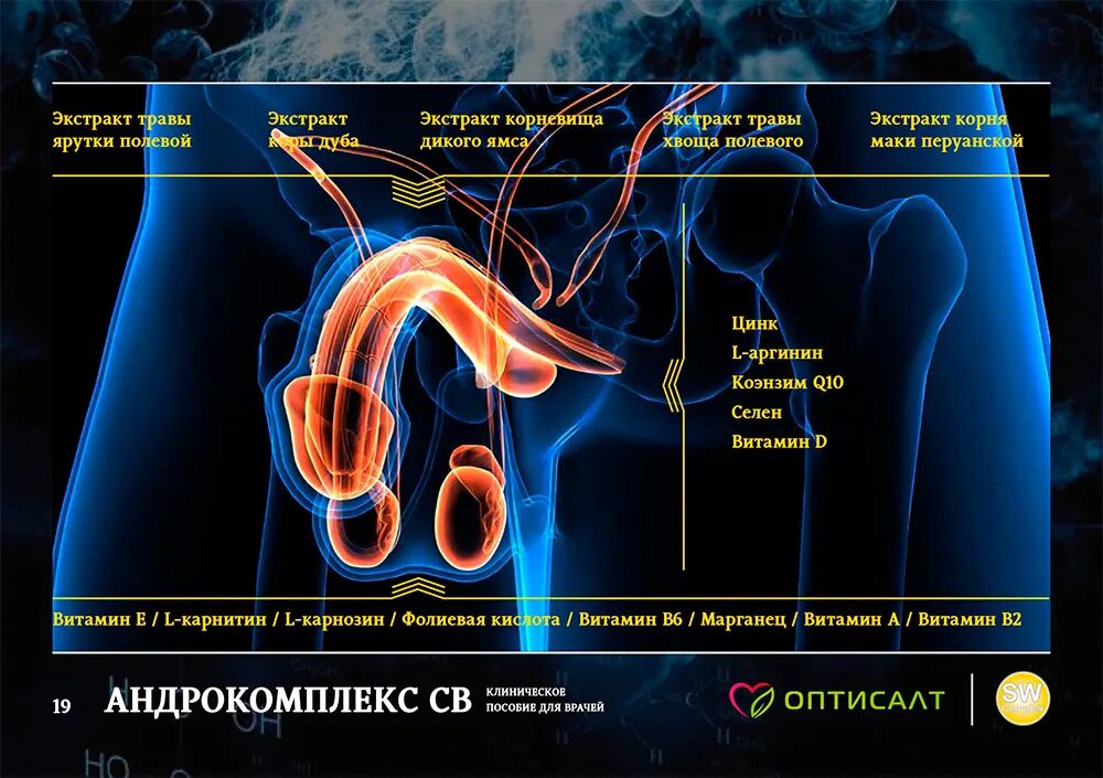 Таблетки урокомплекс св отзывы. Андрокомплекс св. Андрокомплекс SW Complex. Андрокомплекс для мужчин. Андрокомплекс св капсулы.