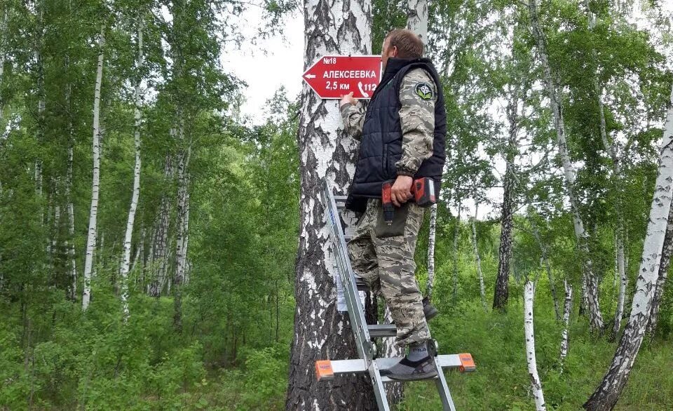 Поисковый отряд ДОБРОСПАС Омск. Стрелок в лесу. Потерялся в лесу Владимирская область. Проект стрелки в лесу.