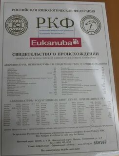 Документы ркф