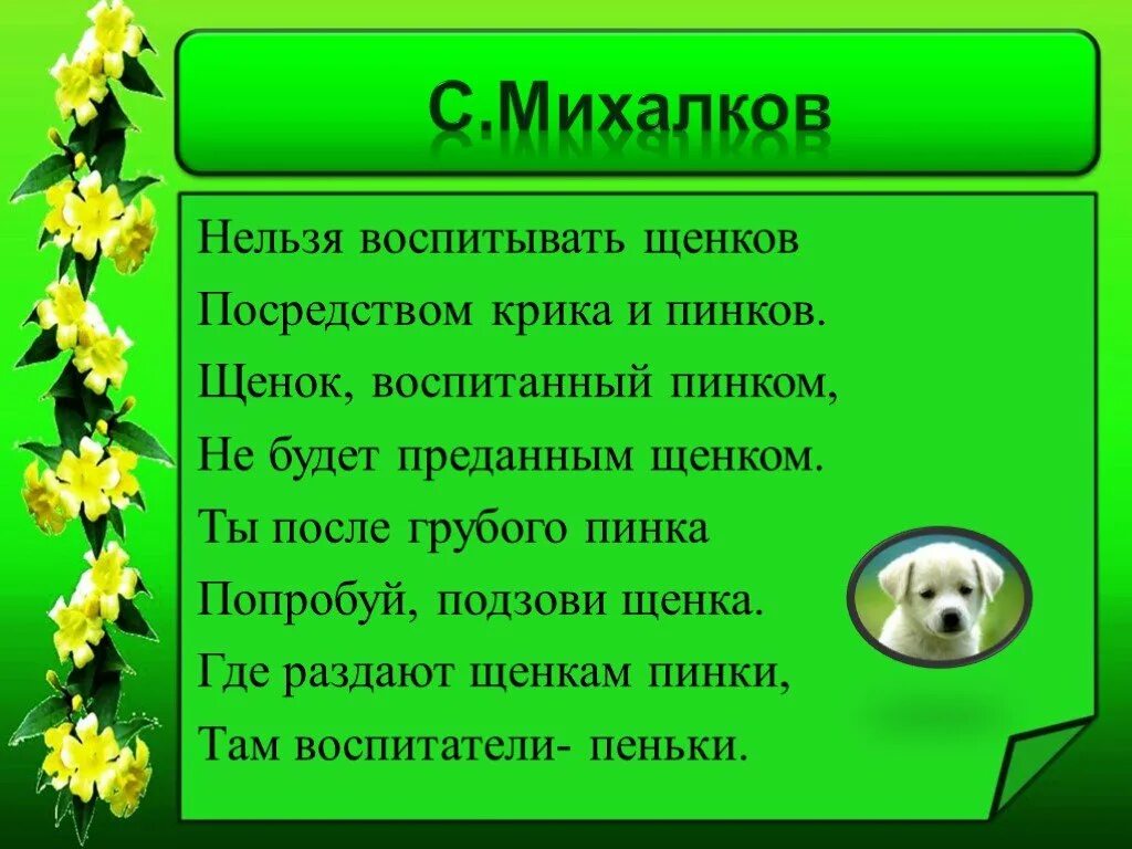 Невозможно воспитать. Михалков нельзя воспитывать. Нельзя воспитывать щенков. Стих про воспитание щенка. Воспитывать щенков посредством крика.