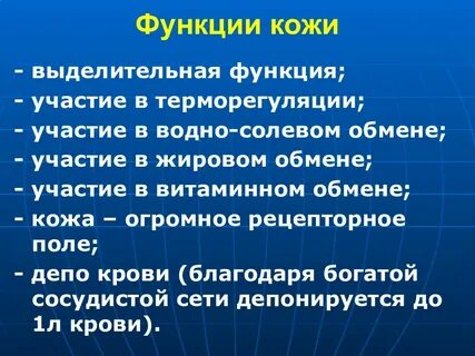 Назовите структуры кожи участвующие в теплорегуляции
