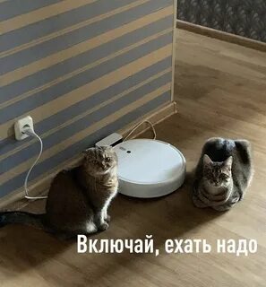 Включи дай 19