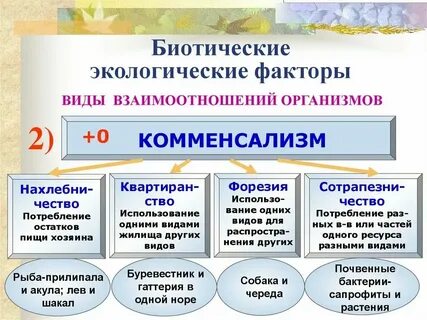 Какие типы биотических взаимоотношений