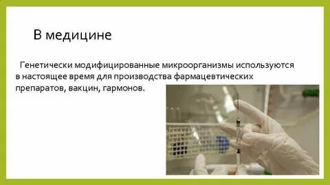 Медицинские бактерии