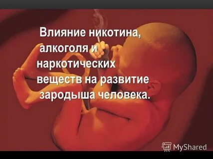 Влияние никотина на клетки живого организма