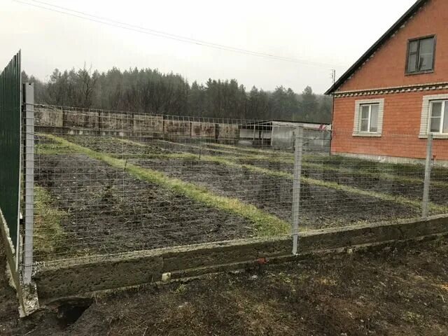 Курская область село сосновка. Рыбалка в сомовка. Погода сосновка горшеченский. Курская область село сосновка. Погода сосновка горшеченский.