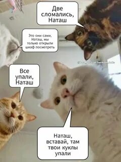 Подскажите плиз