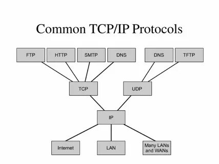 Dns udp