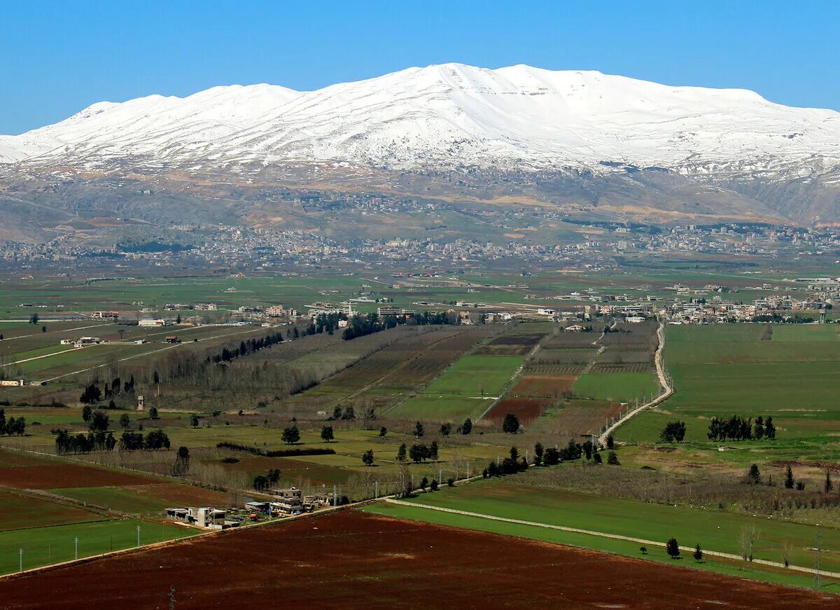 Виноградники в долине бекаа. Долина бераха израиль. Долина бекаа. Ливан река бекаа. Ливанская долина.