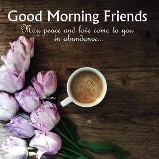 Morning friends