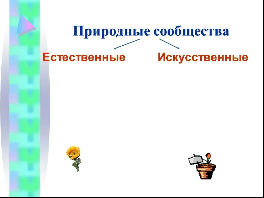 Искусственные природные сообщества 5 класс биология. Естественные и искусственные природные сообщества. Искусственные природные сообщества. Искусственное природное сообщество 5 класс. Природные и искусственные сообщества презентация.