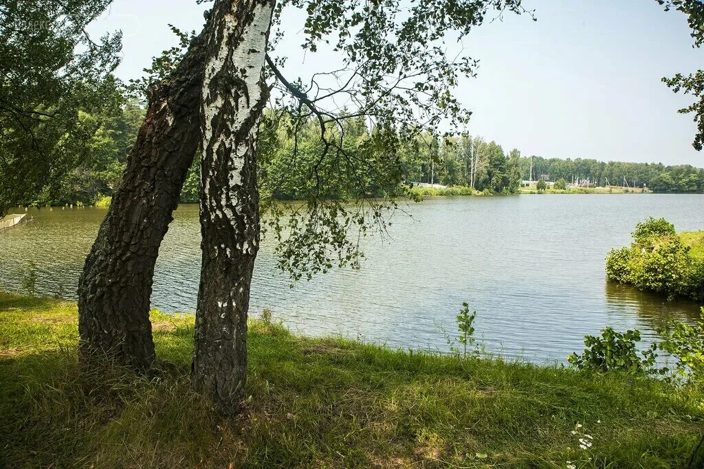 Сосновый берег Чеховский район. Поселок Сосновый берег Ленинградская область. Сосновый берег 2 коттеджный поселок. Озеро у берега 2к. Сосновый берег 2