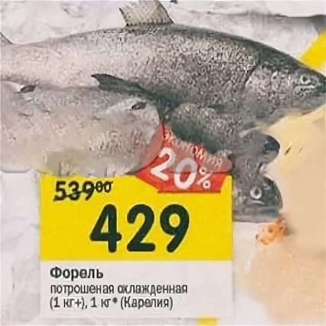 Форель по акции