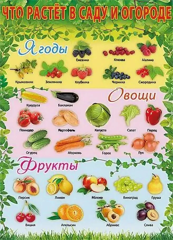 Что растет на грядке. Никитина что растет в огороде. Что растет в огороде. Игра что растет в саду. Что растет в огороде.
