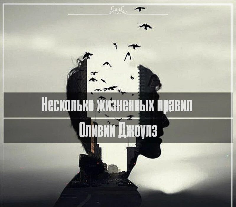 Несколько жизненных правил Оливии. Жизненноежизненное правило цитаты. Несколько жизненных правил от Оливии Джоулз. Главные жизненные правила Оливии Джоулз.