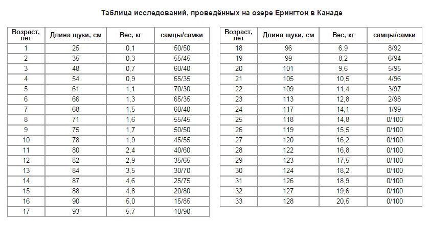 Длина возраст