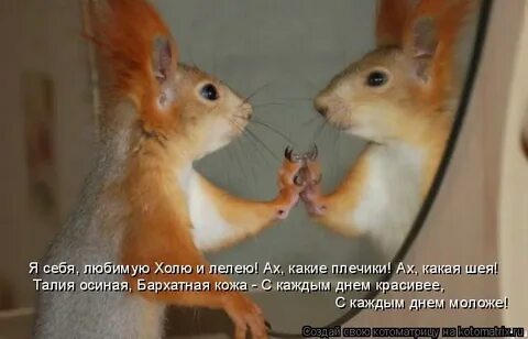 Холят и лелеют как пишется
