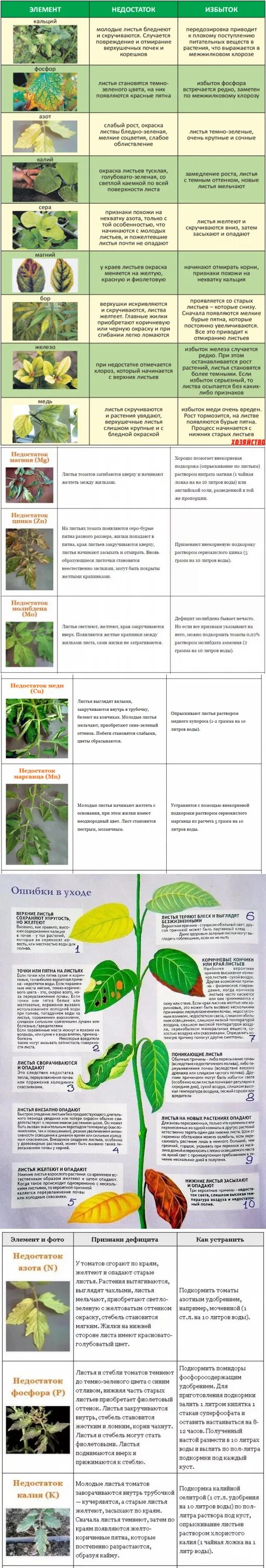 Недостаток элементов питания у растений по листьям томатов. Таблица пожелтения листьев томатов. Таблица недостатка микроэлементов у томатов. Нехватка микроэлементов у рассады томатов.