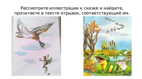 Анализ сказки лягушка путешественница