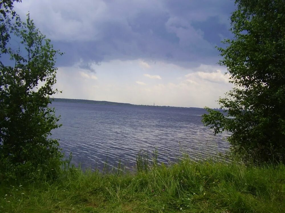 Остров Шумаровский Рыбинское водохранилище. Юршинский остров Рыбинское водохранилище. Остров Копринский Рыбинское водохранилище. Остров Юршино Рыбинск.