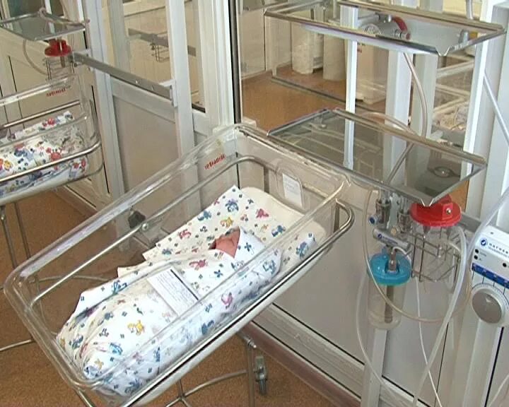 Перинатальный центр алмазова спб. Как работает перинатальный центр. Как работает перинатальный центр. Детский перинатальный центр коломна. Нмиц алмазова перинатальный центр.