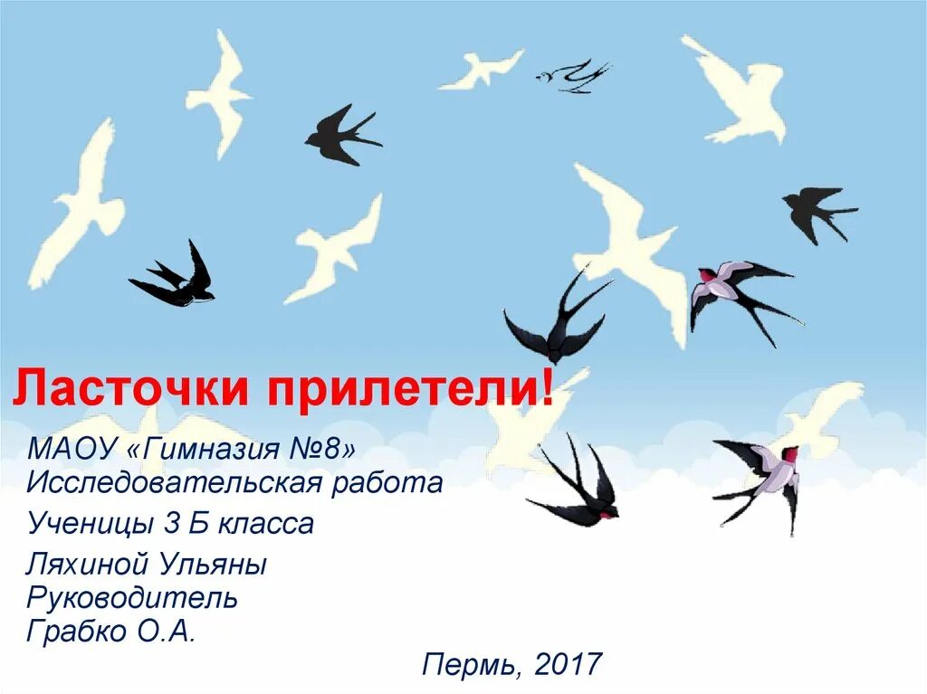 эпитеты ласточки. анализ стихотворения ласточки пропали фет. эпитеты ласточки. доклад про ласточку. ласточка птица описание.