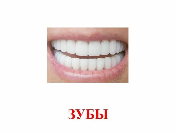 Мое слово зуб. Фразеологизмы про зубы. Фразеологизмы со словом зуб. Мое слово зуб. Слово зуб.
