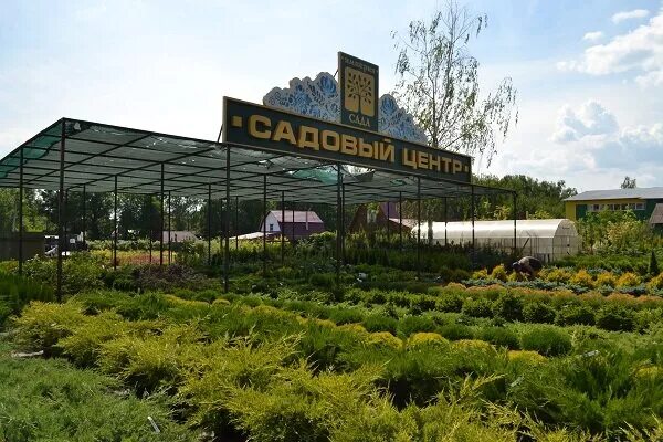 Садовые центры на карте. Сейма гарден садовый центр володарск. Сады веры глуховой в самаре. Садовый центр здание. Дарвин садовый центр пушкино.