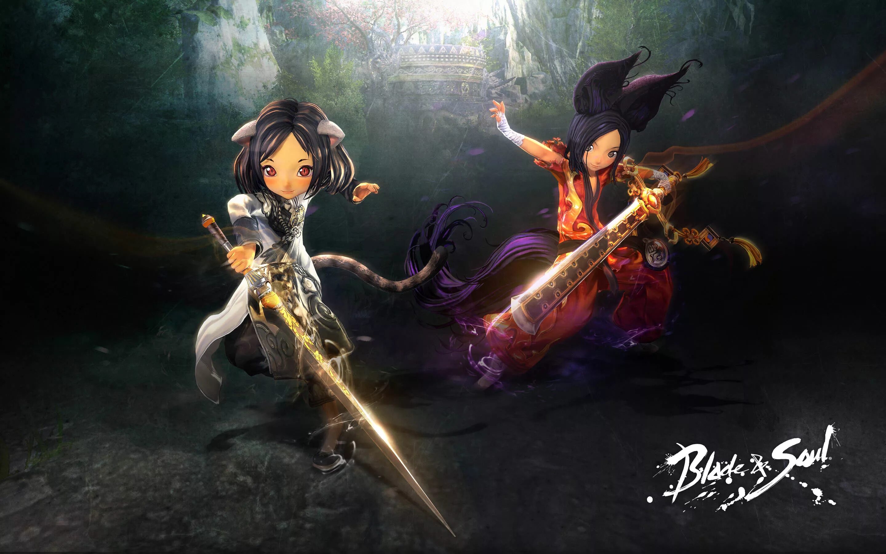 Blader soul. Bns чин соен. бладен соул. blade and soul мастер клинка. блейд энд соул 2.