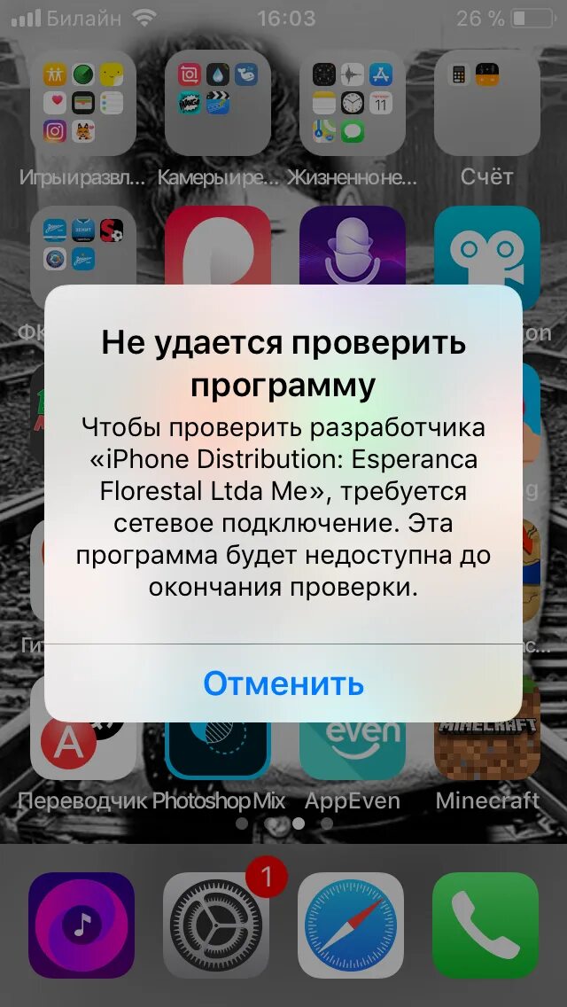 Не удается установить приложение скарлет. Как проверить приложение. Приложение для проверки айфона. Что такое сетевое подключение на айфоне. Проверить целостность приложения на айфон.