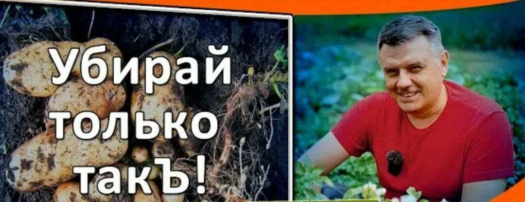 Дачный агроном посадка картофеля. Дачный агроном посадка картофеля. Дачный агроном фото. Дачный агроном ютуб. Дачный агроном видео.