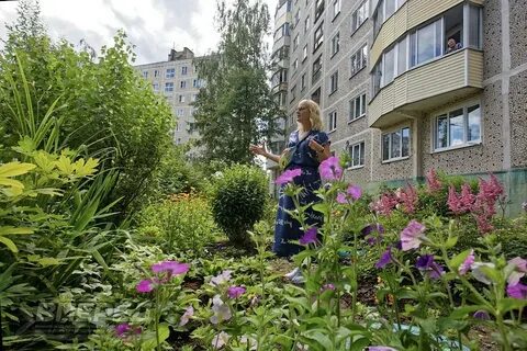 Цветочный отрадное