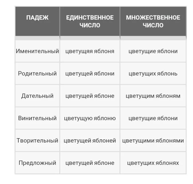 Дружба это единственное или множественное число. Яблоня просклонять по падежам. Просклонять яблоня. Просклонять по падежам слово яблоня. Склонение слова яблоня по падежам.