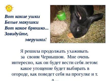 Продолжить уход