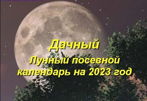 Дачный лунный календарь на 2025г Книга: "Лунный дачный календарь на 2019 год". Купить книгу, читать рецензии ISBN