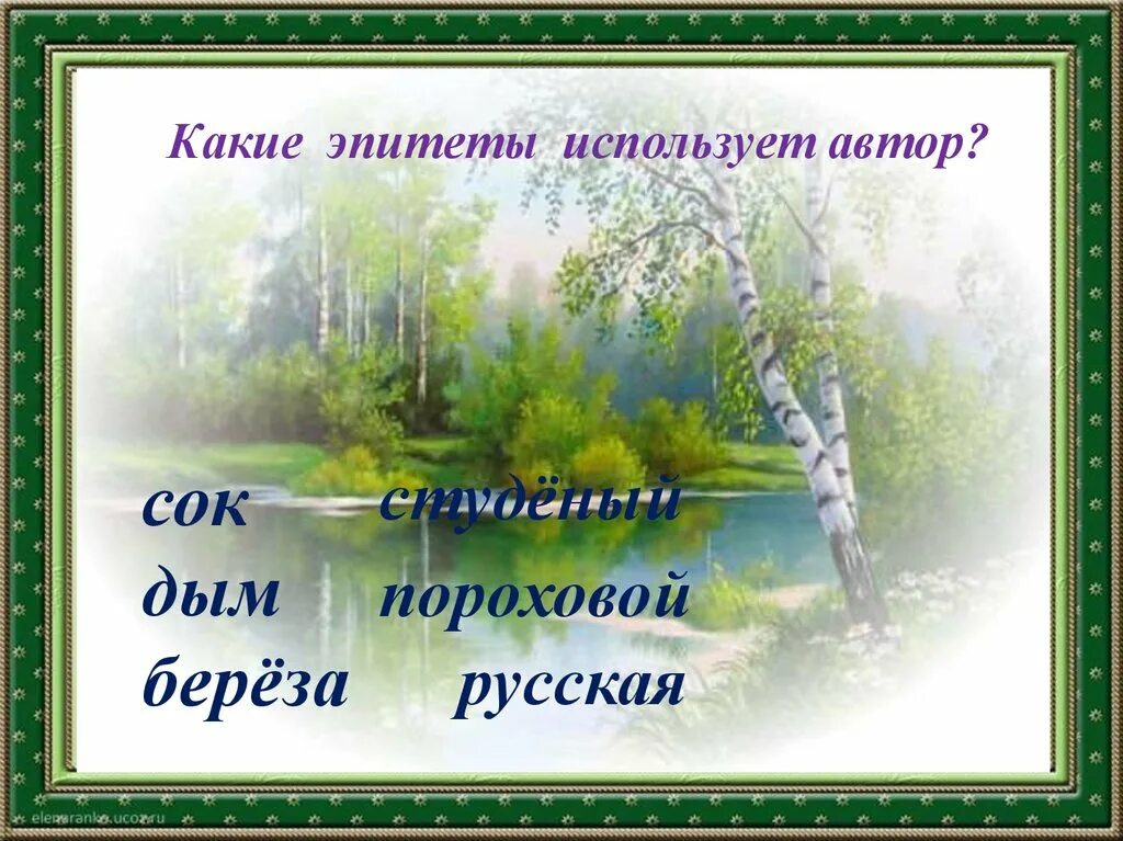 Я помню белую березу