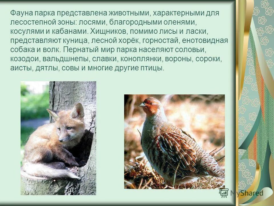 приспособления животных в лесостепи россии. типичные обитатели тундры. какое животное не характерно для зоны. какое животное не характерно для зоны. тундра природная зона животные.