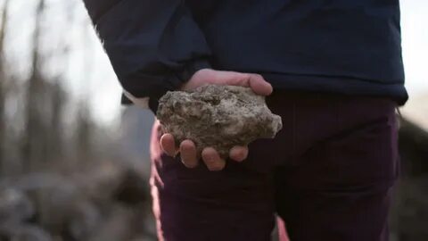 Бросился камнями