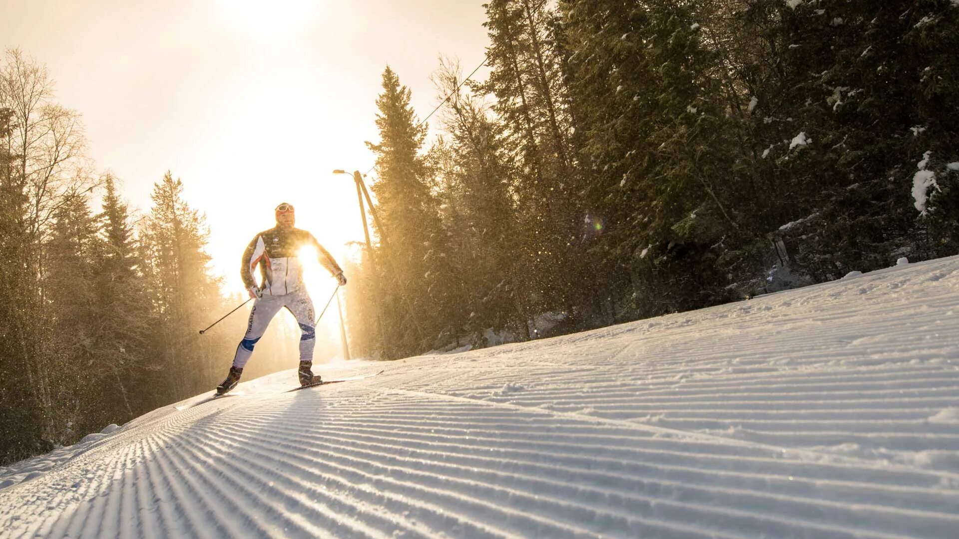 Cross country ski. Лыжник. Катание на лыжах. На лыжах в лесу. Беговые лыжи.