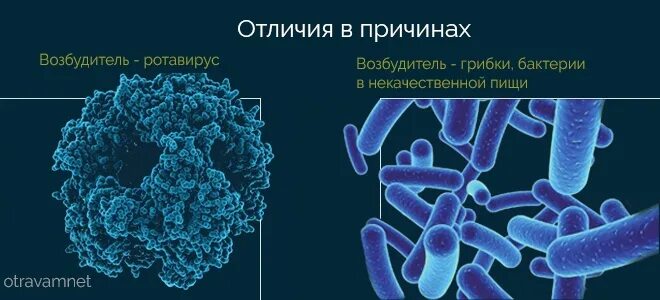 Как отличить ротавирус от отравления. Отравление и ротавирус отличия. как отлисить ротовирум от отправлени. ротовирус и отравление.