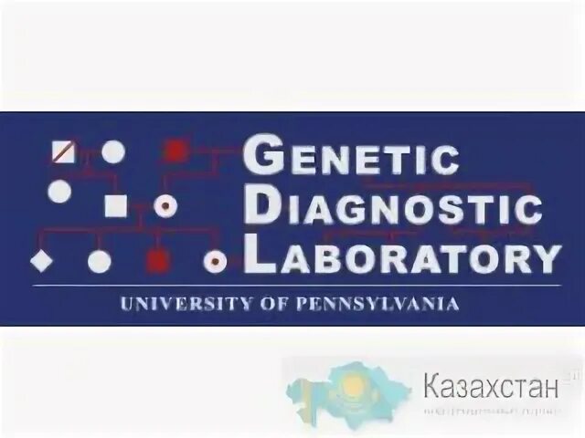 Генетика ставрополь. Genetic Diagnostic Laboratory University of Pennsylvania Department of Genetics.