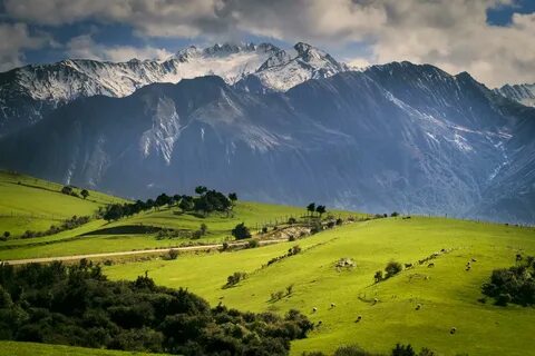 New zealand is