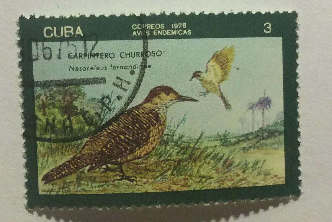 Марки Кубы птицы. Почтовые марки Кубы. Марки Cuba. Марки животные Cuba. Сколько стоит марка куба