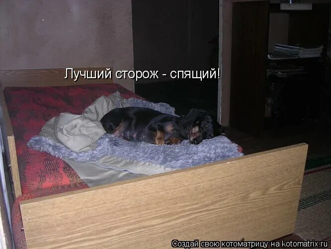 охранник спит. заснувшие сторожа чаще. анекдоты про охранников смешные. сторож не спит. заснувшие сторожа чаще.