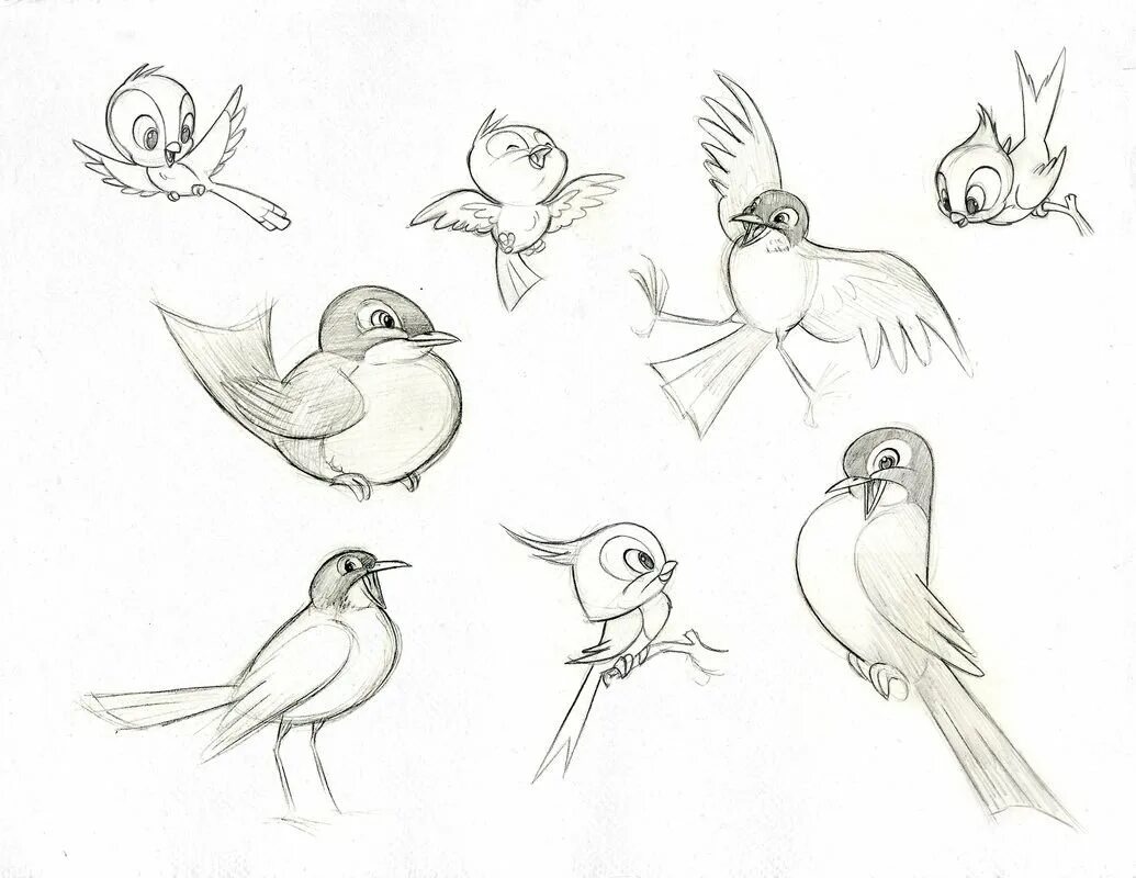 Рисунок птиц карандашом легкие. Зарисовки птиц. Птица рисунок. Птичка зарисовка. Птицы карандашом для срисовки.
