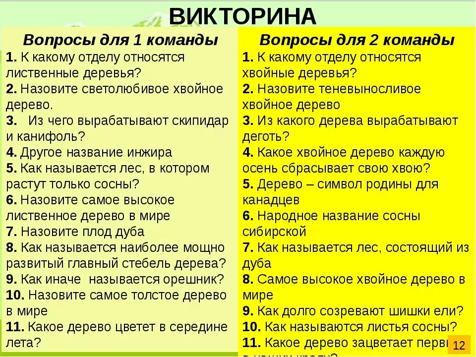 Вопросы детям для конкурса. Веселые вопросы для викторины. Вопросы для викторины для детей. Интересные вопросы для викторины для детей. Вопросы для детских викторин.