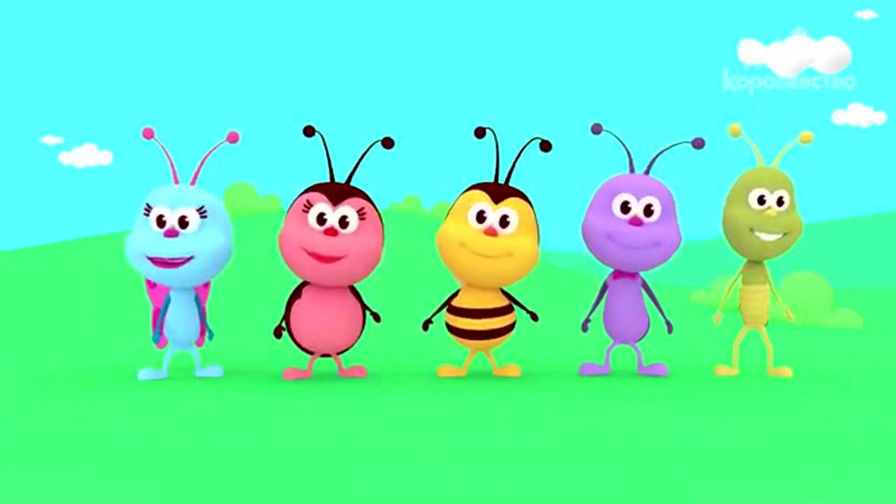 Любимые насекомые детское королевство. Bichikids. Детское королевство насекомые. Королевство букашек. Детское королевство насекомые.