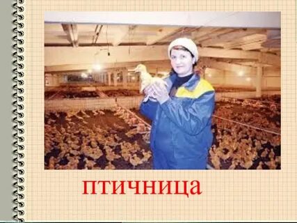 Имя работа в селе