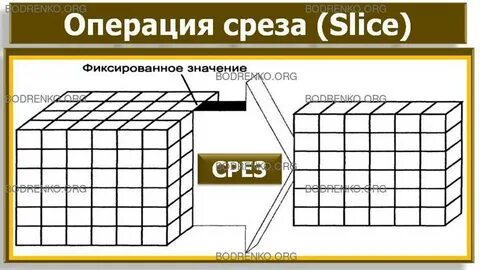 Дата среза данных